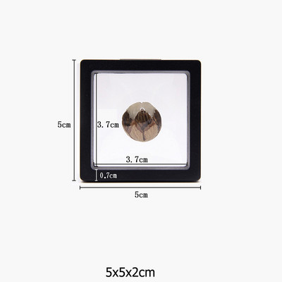 Κουτί συσκευασίας κοσμημάτων με διαφανή φιλμ Κρεμαστό δαχτυλίδι Σκουλαρίκια οθόνη Βάση βάσης νομισμάτων συλλογής πολύτιμων λίθων Θήκη μεμβράνης PET αποθήκευσης