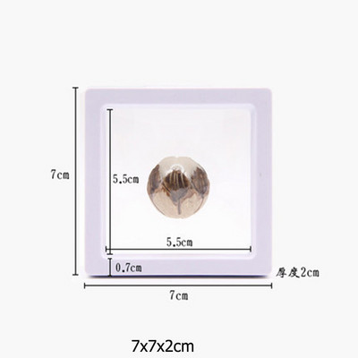 Κουτί συσκευασίας κοσμημάτων με διαφανή φιλμ Κρεμαστό δαχτυλίδι Σκουλαρίκια οθόνη Βάση βάσης νομισμάτων συλλογής πολύτιμων λίθων Θήκη μεμβράνης PET αποθήκευσης