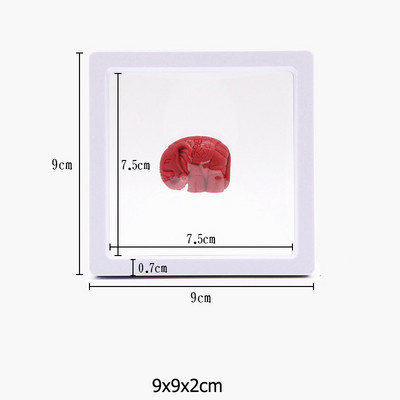 Κουτί συσκευασίας κοσμημάτων με διαφανή φιλμ Κρεμαστό δαχτυλίδι Σκουλαρίκια οθόνη Βάση βάσης νομισμάτων συλλογής πολύτιμων λίθων Θήκη μεμβράνης PET αποθήκευσης