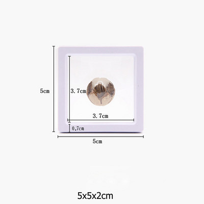 Κουτί συσκευασίας κοσμημάτων με διαφανή φιλμ Κρεμαστό δαχτυλίδι Σκουλαρίκια οθόνη Βάση βάσης νομισμάτων συλλογής πολύτιμων λίθων Θήκη μεμβράνης PET αποθήκευσης