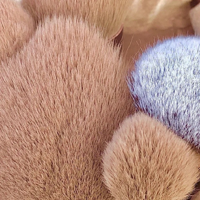 Naujausias! Soft Fluffy makiažo šepetėlių rinkinys kosmetikai Foundation Blush Powder Eyeshadow Kabuki Blending Makeup Brush grožio priemonė