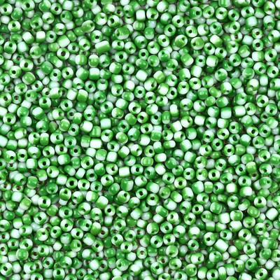 Umbes 1000 tk 2mm arbuusiseemnehelmed Tšehhi klaashelmed DIY kõrvarõngas käevõru kaelakee helmed ehete valmistamise tarvikud