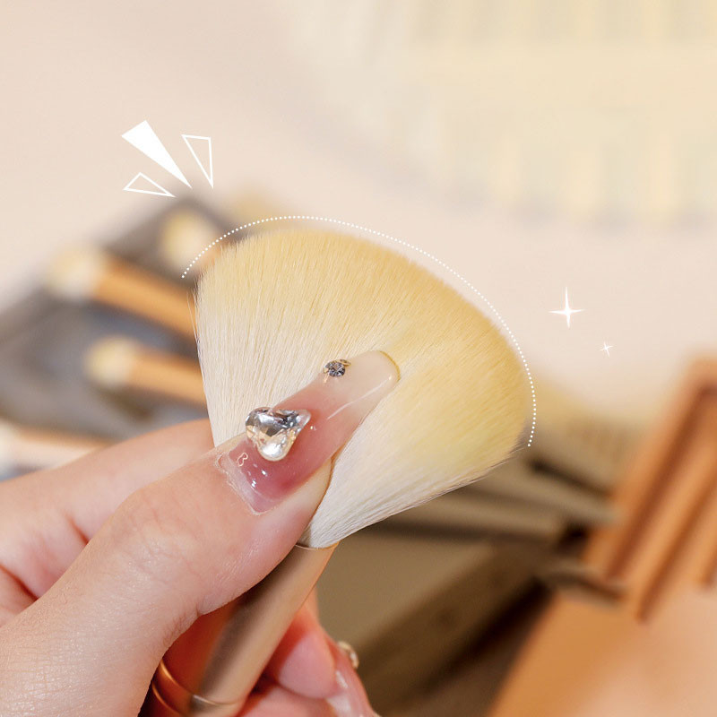 Travel Meigipintslite komplekt peegliga, pehmete harjastega, lahtine tolm, lauvärv, kaasaskantavad meigivahendid, 5 tk/komplekt