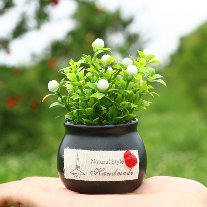 Autokaunistused Simulatsioon Lilled Soodsad puuviljad Autode sisekujundus Taim Potitaimed Parfüümid Aroomiteraapia Aksessuaarid