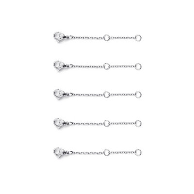 5-riba/komplekt roostevabast terasest pikenduskett homaari nööbiga, kaelakee reguleerija keti pikendusega ehete valmistamiseks 3/5/8/10 cm