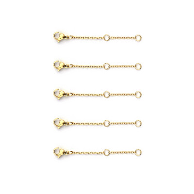 5-riba/komplekt roostevabast terasest pikenduskett homaari nööbiga, kaelakee reguleerija keti pikendusega ehete valmistamiseks 3/5/8/10 cm