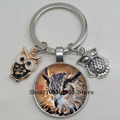 Armas võluv emailiga öökull võtmehoidja kumer klaasist öökull võtmehoidja naiste meeste autokoti tarvikud