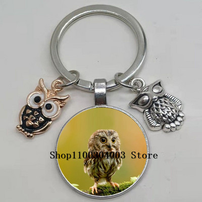 Armas võluv emailiga öökull võtmehoidja kumer klaasist öökull võtmehoidja naiste meeste autokoti tarvikud