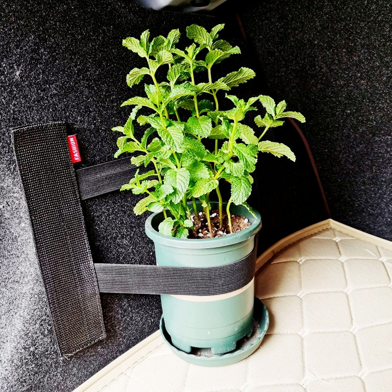 Αυτοκίνητο ελαστικοί σταθεροί ιμάντες Ρυθμιζόμενος πυροσβεστήρας κορμού Ταινίες ζώνης στερέωσης ρεζερβουάρ αποθηκευτικού πυροσβεστήρα Αξεσουάρ Auto Interior Organizer