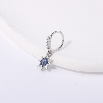 Nosne burme za žene Djevojke CZ Septum Piercing Clicker Helix Naušnice Hrskavica Tragus Seksi nakit za piercing nosa za žene Muškarci