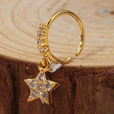 Karike za nos za žene CZ Crown privjesak Karike za nos 18K pozlaćeni piercing za nos Piercing za hrskavicu naušnice