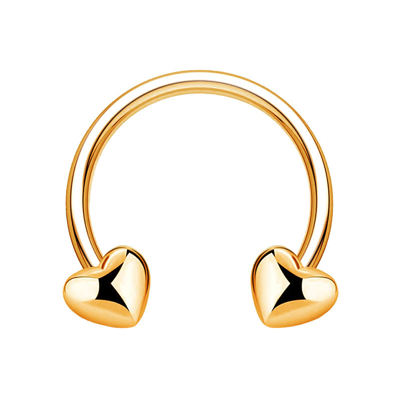 Südamerõngas ninarõngas vaheseina augustamine ümmargune kangiga huulerõngas kõrva kõhre kõrvarõngas BCR Tragus Helix keha ehe 16G