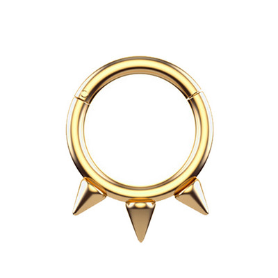 1tk Kirurgilisest terasest ninarõngas hingedega segment vaheseina augustamine klõpsuga rõngas kõrva kõhre kõrvarõngad Helix hõbeda värvi keha ehted