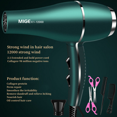 2200w velike snage salonske klase brzo sušeće sušilo za kosu 12000 vjetar antistatički bas smanjenje buke Preporuka kućnog frizerskog salona