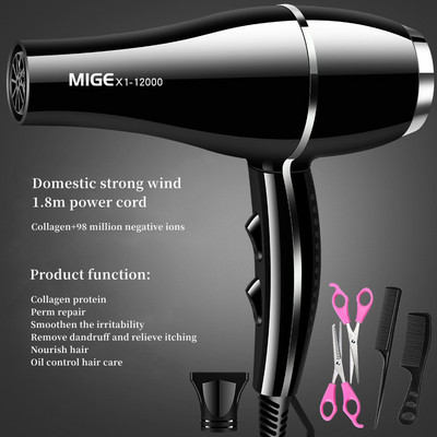 2200w velike snage salonske klase brzo sušeće sušilo za kosu 12000 vjetar antistatički bas smanjenje buke Preporuka kućnog frizerskog salona