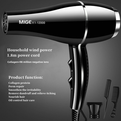 2200w velike snage salonske klase brzo sušeće sušilo za kosu 12000 vjetar antistatički bas smanjenje buke Preporuka kućnog frizerskog salona