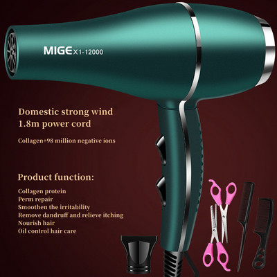 2200w velike snage salonske klase brzo sušeće sušilo za kosu 12000 vjetar antistatički bas smanjenje buke Preporuka kućnog frizerskog salona