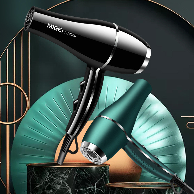 2200w velike snage salonske klase brzo sušeće sušilo za kosu 12000 vjetar antistatički bas smanjenje buke Preporuka kućnog frizerskog salona