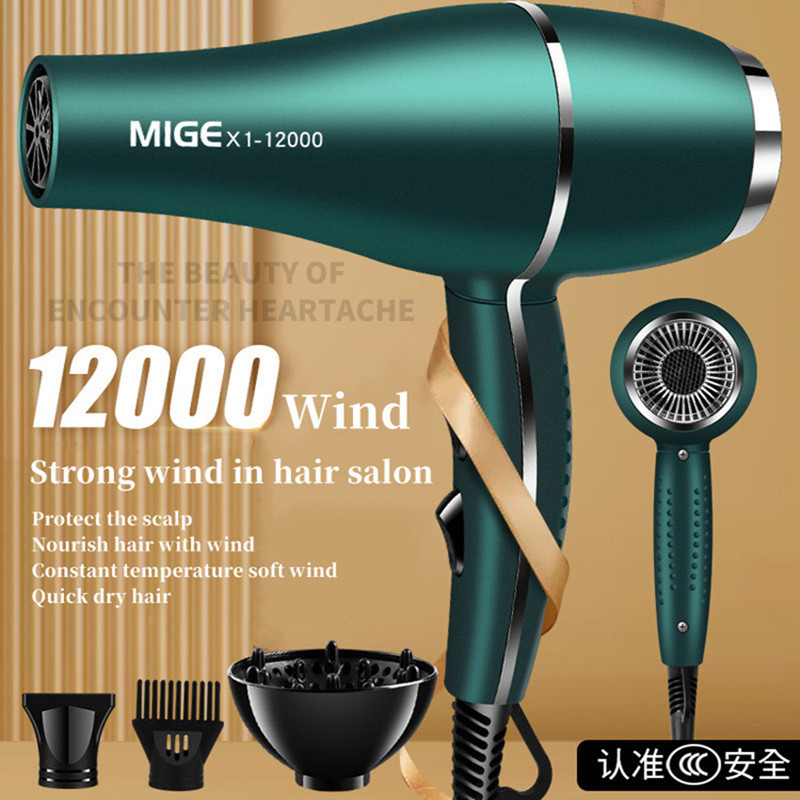 2200w velike snage salonske klase brzo sušeće sušilo za kosu 12000 vjetar antistatički bas smanjenje buke Preporuka kućnog frizerskog salona