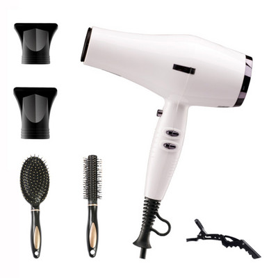 Professionaalne valge föön koos Collectori kuuma õhu kammiharjaga kaasaskantav puhur ülitugev salongivarustus juuksurile