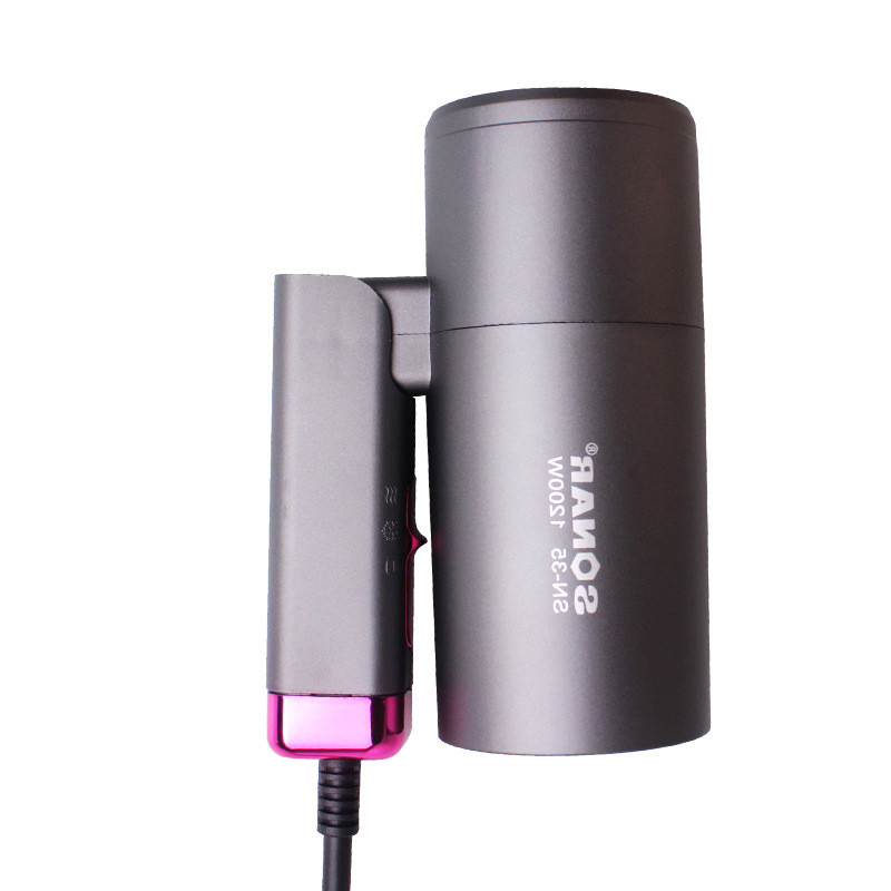 Professionaalne kiire föön juustele termostaadiga tugeva tuulega fööniga reisikuivati kaasaskantav föön EU Pulg