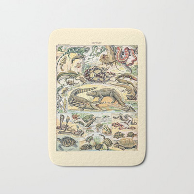 Köögis vaipkatte matid elutuppa Tervitusmatt Loom Armas Kass Uksematid Köögimatt Vannitoa libisemisvastane vaip uksevaip