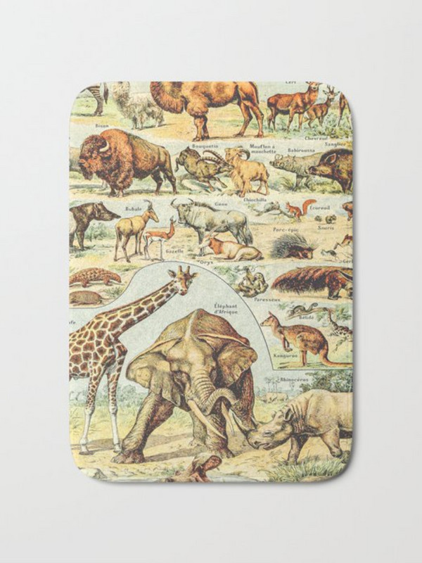 Köögis vaipkatte matid elutuppa Tervitusmatt Loom Armas Kass Uksematid Köögimatt Vannitoa libisemisvastane vaip uksevaip