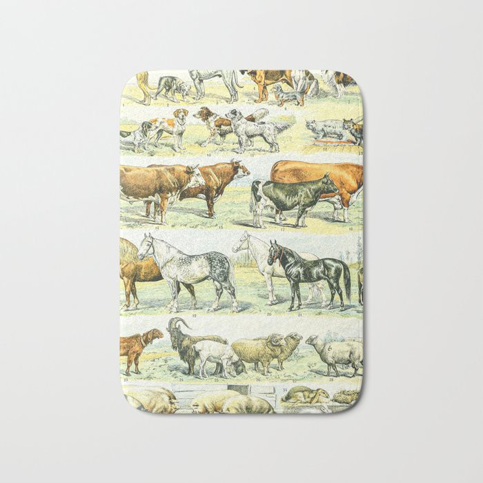 Köögis vaipkatte matid elutuppa Tervitusmatt Loom Armas Kass Uksematid Köögimatt Vannitoa libisemisvastane vaip uksevaip