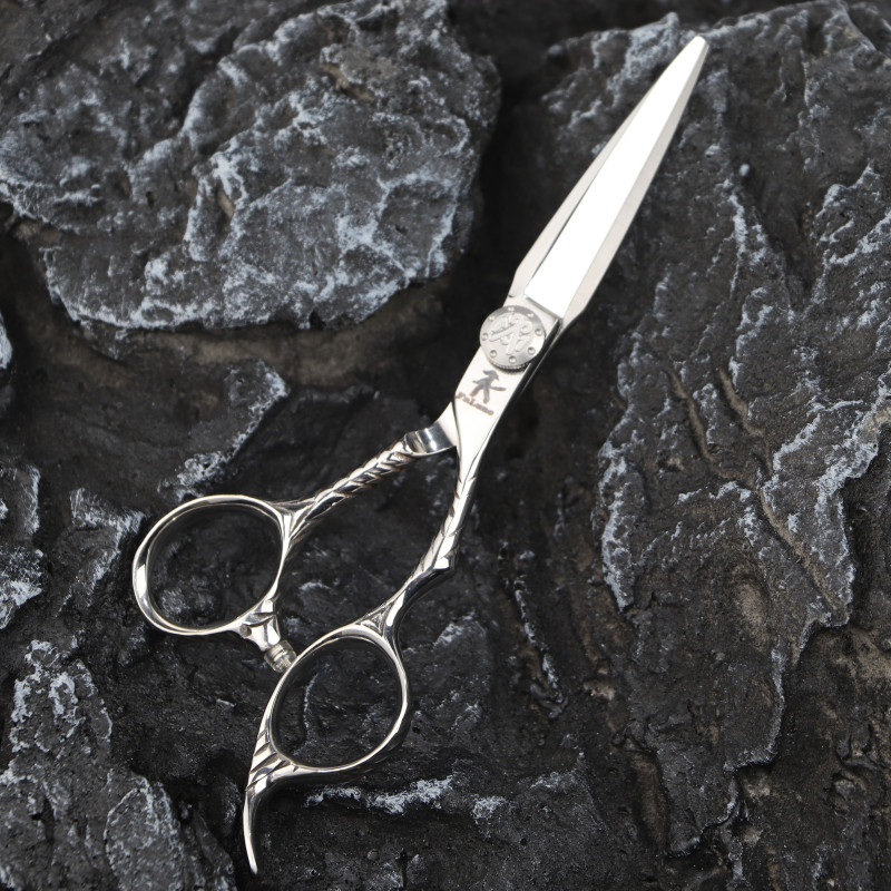 Fnlune 6.0 Profesionalne frizerske škare Salon Brijački pribor Stroj za šišanje Šišanje za stanjivanje Frizerske škare