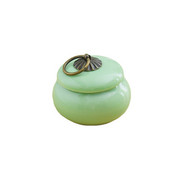 Keraamiline tuhakast Lemmiklooma Kassi Koer Lind Väike tuhastamine Lemmikloomuurnid Isikupärastatud mälestusmatused tuhahoidjatele Tinahoidla kirstkass