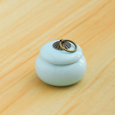 Keraamiline tuhakast Lemmiklooma Kassi Koer Lind Väike tuhastamine Lemmikloomuurnid Isikupärastatud mälestusmatused tuhahoidjatele Tinahoidla kirstkass