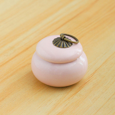 Keraamiline tuhakast Lemmiklooma Kassi Koer Lind Väike tuhastamine Lemmikloomuurnid Isikupärastatud mälestusmatused tuhahoidjatele Tinahoidla kirstkass