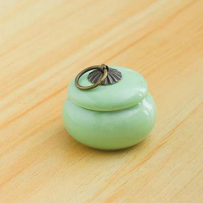 Keraamiline tuhakast Lemmiklooma Kassi Koer Lind Väike tuhastamine Lemmikloomuurnid Isikupärastatud mälestusmatused tuhahoidjatele Tinahoidla kirstkass