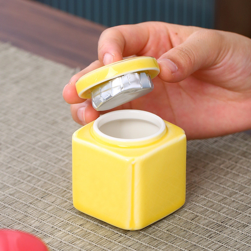 Mini urne de cenușă umană pentru incinerația animalelor ceramică individualizare sicriu pentru animale de companie Suvenir funerar Animale de companie cu memorie specială sicriu funerar