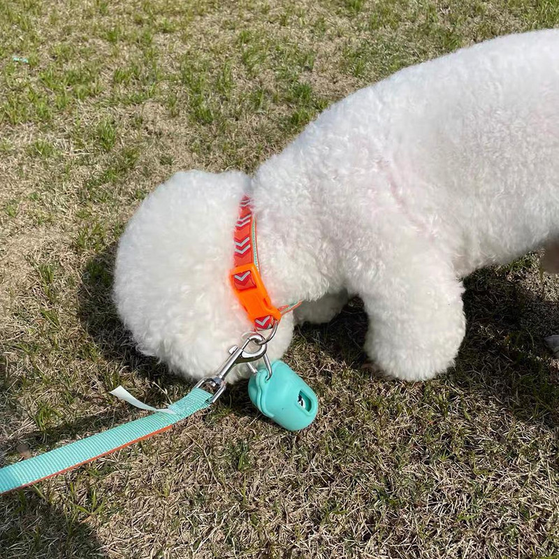 Suport pentru dozator de pungi pentru caca de câine cu carabinier. Călătorie din silicon Produse de alegere prietenoase pentru animale de companie Dozator de pungi pentru deșeuri ecologice.