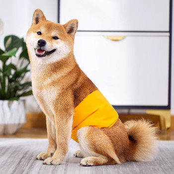 Αρσενικό Dog Wrap Puppy Pet Αρσενικό Dog Physiological Παντελόνι Εσώρουχα Υγιεινής Belly Band Πάνες Πανί Βαμβακερά περιτυλίγματα πάνας για σκύλους