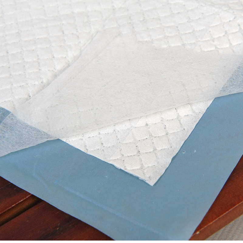 AHUAPET 5kom/vreći Jastučići za dresuru štenaca Jastučići za pseće mokrenje Proizvodi za pse Toalet 2 veličine Upijajuće pelene za pse Dodaci za pelene za kućne ljubimce E