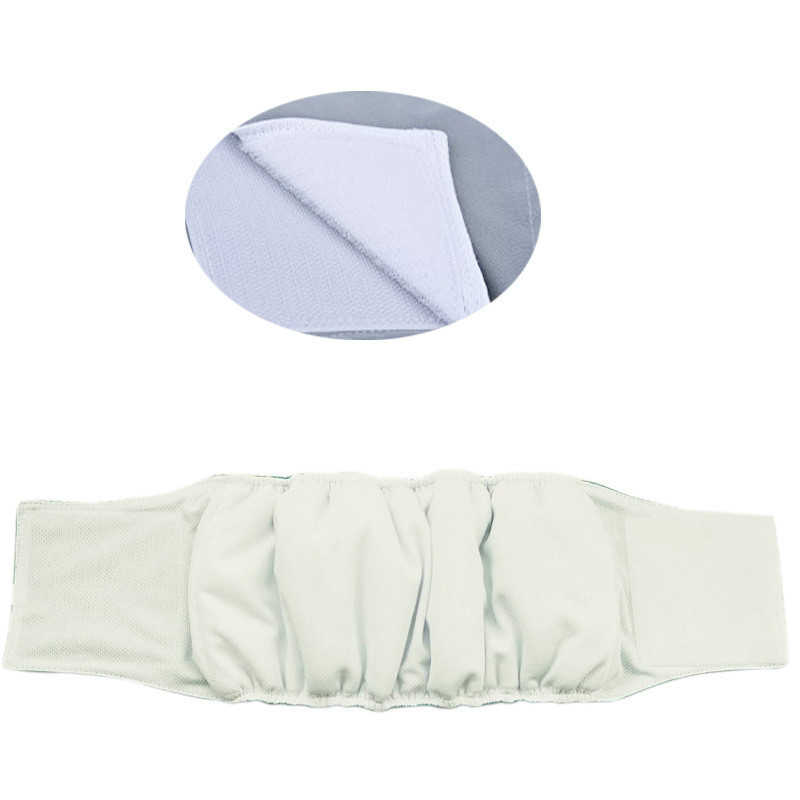 Pestavad lemmikloomakoerte mähkmed Isased imav reguleeritav kutsikas suur koer füsioloogilised püksid koertele korduvkasutatavad lemmikloomad koerad aluspüksid lühikesed püksid