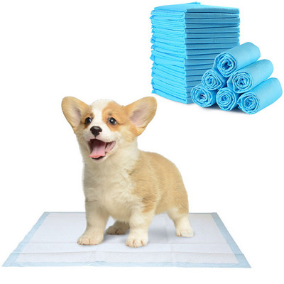 10 τμχ Super Absorbent Pet Diaper Dog Training Pee Pads Υγιεινή πάνα μιας χρήσης για γάτες σκύλους κατοικίδια Αποσμητική πάνα καθαρισμού