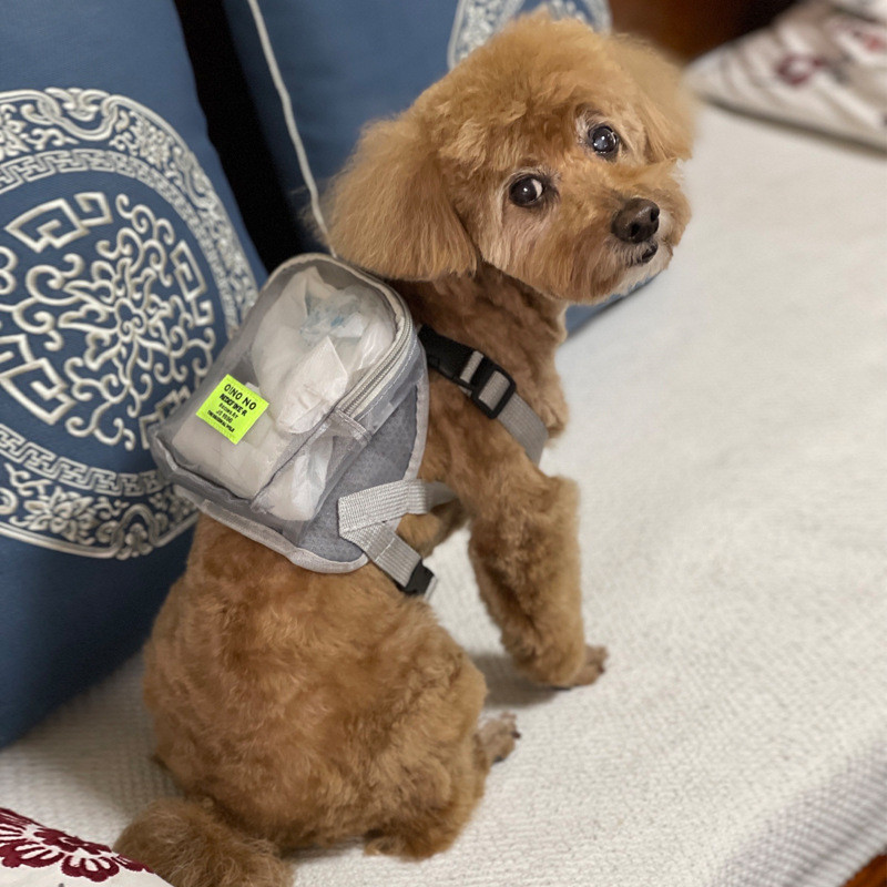 Pet Self Ruksak Cute Teddy Cat Out Bag Small Dog Mini Outdoor Modni ruksak Pet Snack Putni paket Oprema za kućne ljubimce Pribor