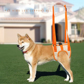 Reguliuojamas šunų raištelis, nugaros kojos, klubų atramos naminiams gyvūnėliams skirti priedai, skirti šunų pagalbai ir raiščių reabilitacijai šuns pakėlimo diržai