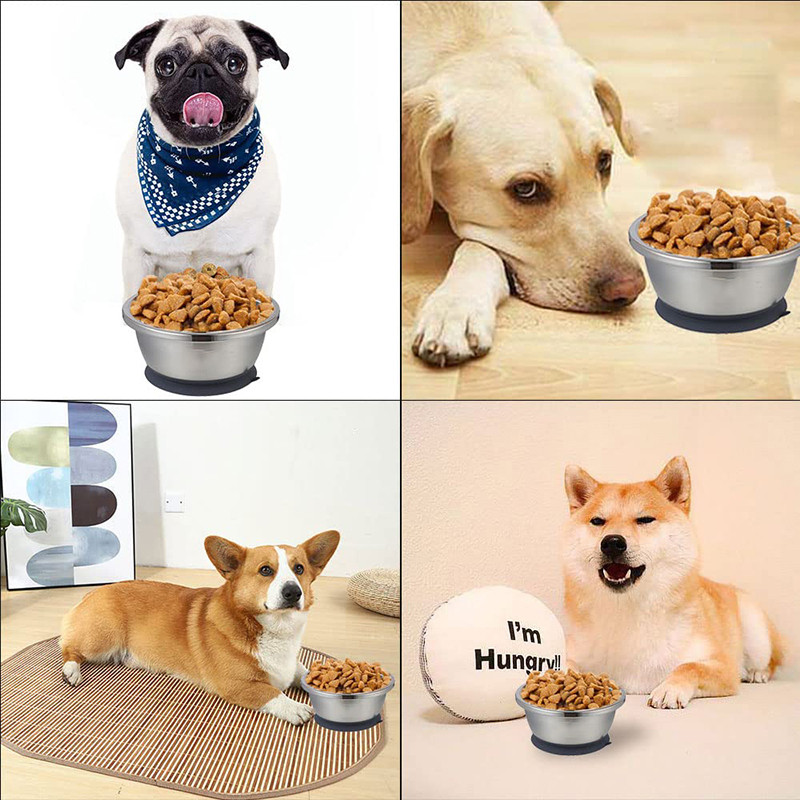 Benepaw Μπολ από ανοξείδωτο ατσάλι για σκύλους Ανθεκτικό χωρίς ολίσθηση Τροφοδότης κατοικίδιων ζώων Πιάτα τροφής για κουτάβι με νερό με δίσκο σιλικόνης