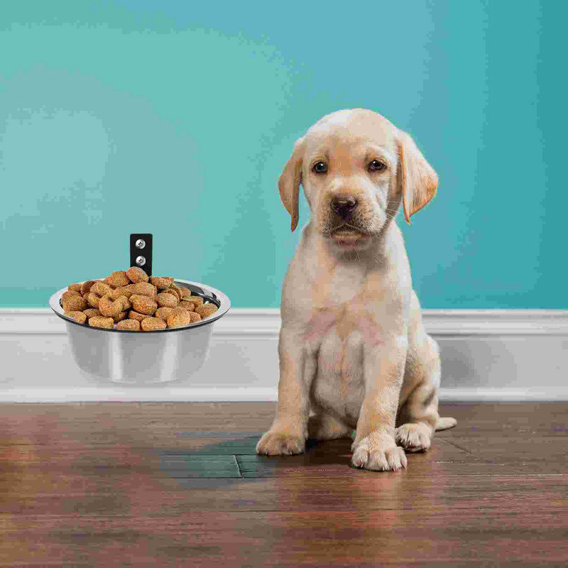 Sieninis paaukštintas dubuo šuniui Patogus kačių pakeltas dubenys dideli šunys, padalinti kabantys nerūdijantis plienas, mažas