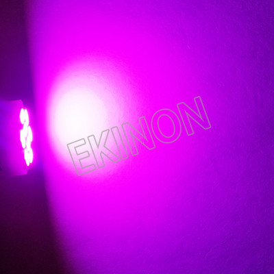 50 tk DC 6V AC 6.3V T10 W5W 194 168 #555 Polaarsuseta Pinball Machine LED lambipirn ilma kummitusliku auto sisevalgusti 8SMD 1206 DC6V