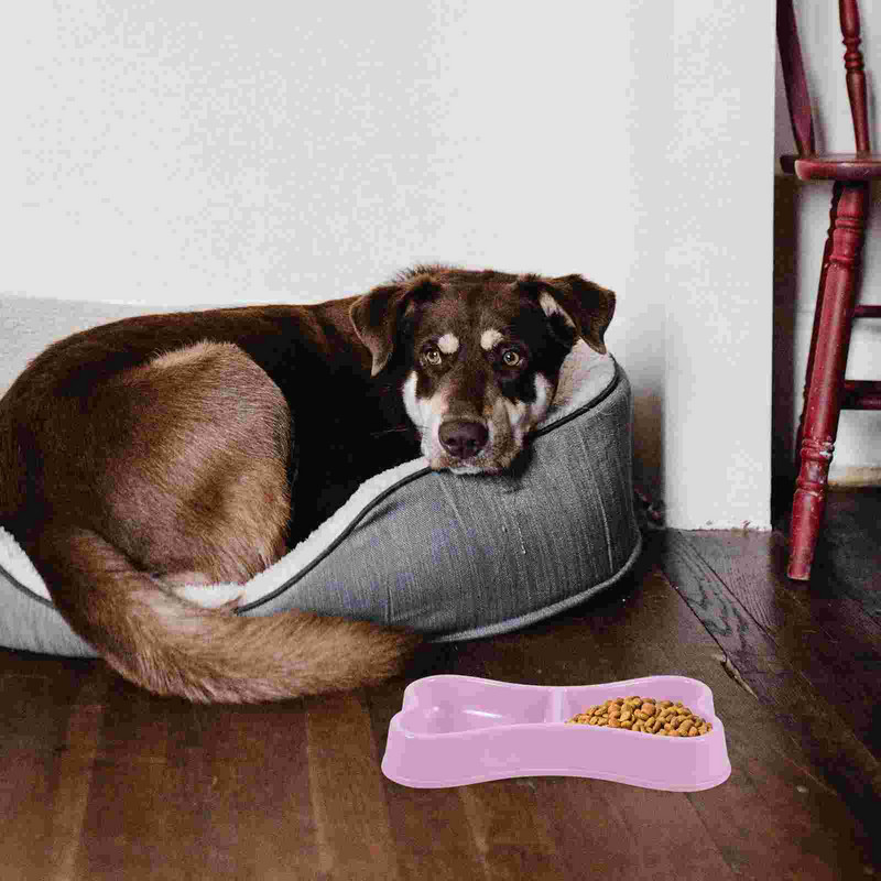 Lemmikloomakaussi toidukonteiner kutsikate söötjad kutsikad plastmahutid kasside toitmise hoidja koer