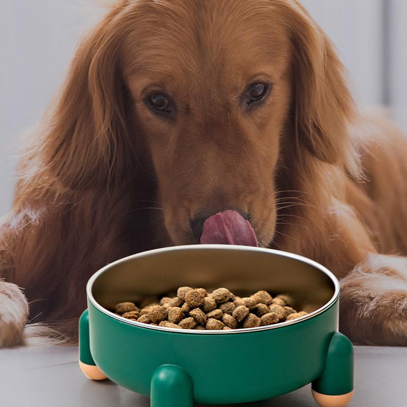 Láb nyak kutya ütközésgátló tál kellékek kisállat kisállat védő mosdókagyló kisállat acél magas kutya rozsdamentes tál kutya csúszásgátló ételtál