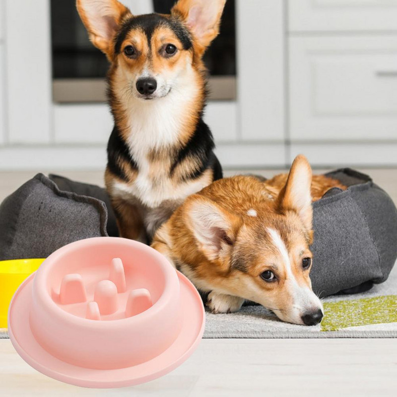 Tugev ja vastupidav lemmikloomakauss, ohutu libisemisvastane lemmiklooma toitmiskauss aeglaseks toidutarbimiseks Ideaalne kassidele Koertele Hoiab ära aeglase söötmise koera