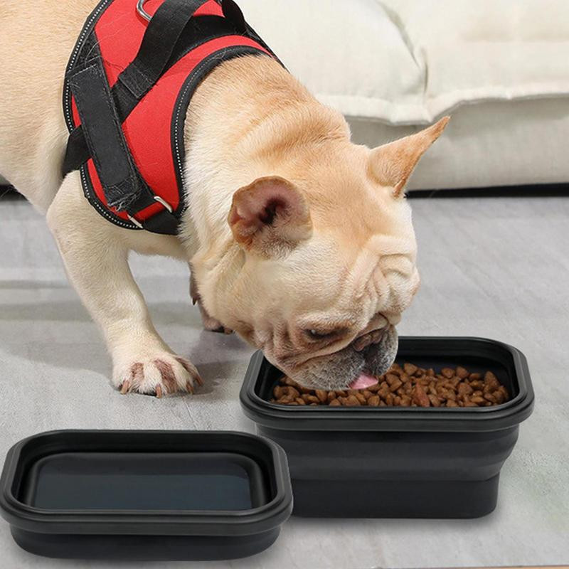 Kaasaskantav koerte veekauss Kokkupandav koerte veekausid koerte reisikausid lemmikloomade kokkupandavad kausid kassidele koertele kaasaskantavad lemmikloomade toitmine