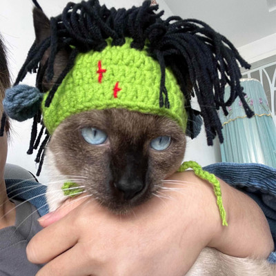 Rokistiil Naljakas kassimüts Karvutu kassi kostüüm Sfinksi peakatted Koer Devon Rex Punk Konis Kassitarvikud Sfinksi kassi rõivad