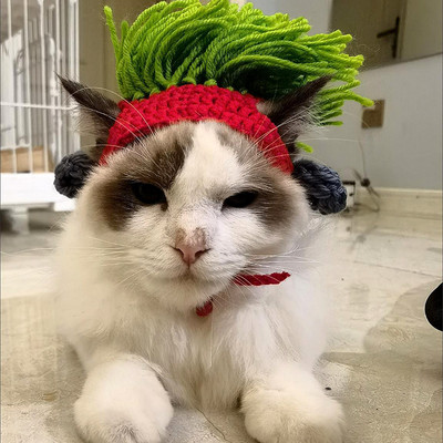 Rokistiil Naljakas kassimüts Karvutu kassi kostüüm Sfinksi peakatted Koer Devon Rex Punk Konis Kassitarvikud Sfinksi kassi rõivad